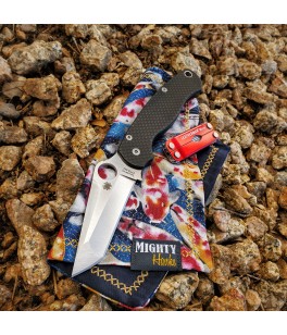 Vivid Koi Mighty Mini with Microfiber