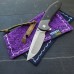 Purple Paisley Mighty Mini with Microfiber