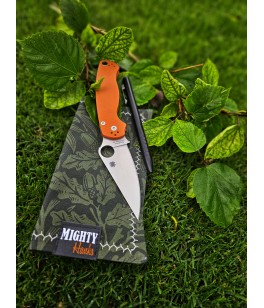 Acorn Mighty Mini with Microfiber