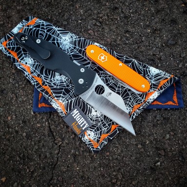 Spiderwebs Mighty Mini with Microfiber